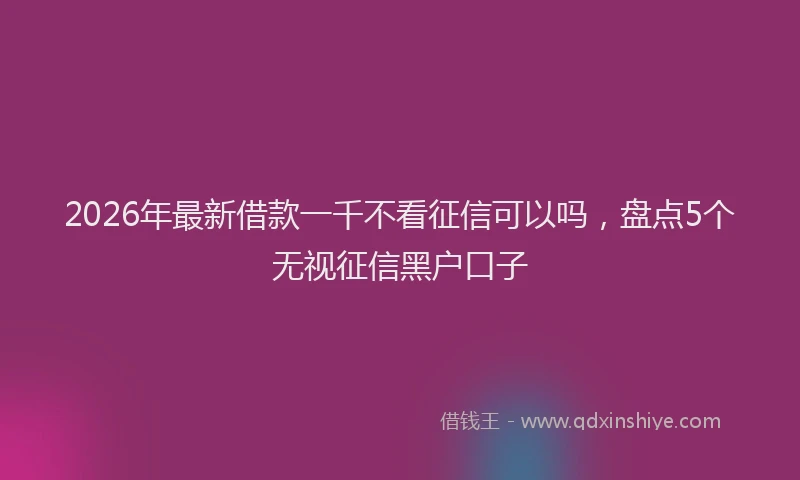 2026年最新借款一千不看征信可以吗，盘点5个无视征信黑户口子