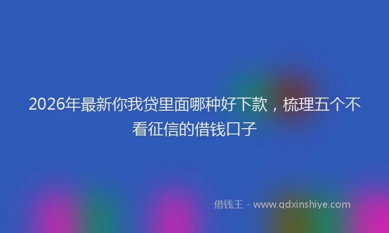 2026年最新你我贷里面哪种好下款,梳理五个不看征信的借钱口子