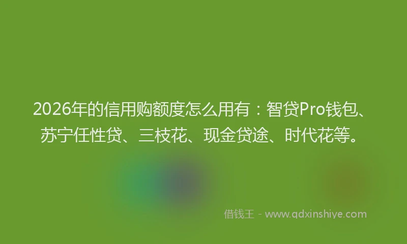 2026年的信用购额度怎么用有:智贷Pro钱包、苏宁任性贷、三枝花、现金贷途、时代花等。