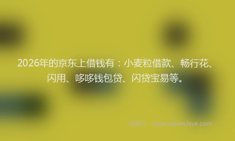 2026年的京东上借钱有:小麦粒借款、畅行花、闪用、哆哆钱包贷、闪贷宝易等。