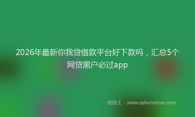 2026年最新你我贷借款平台好下款吗，汇总5个网贷黑户必过app
