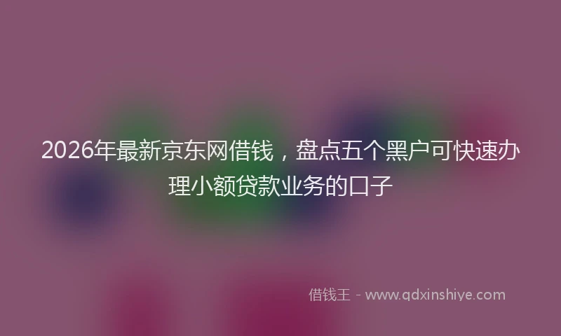 2026年最新京东网借钱，盘点五个黑户可快速办理小额贷款业务的口子