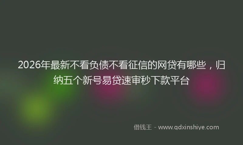 2026年最新不看负债不看征信的网贷有哪些,归纳五个新号易贷速审秒下款平台