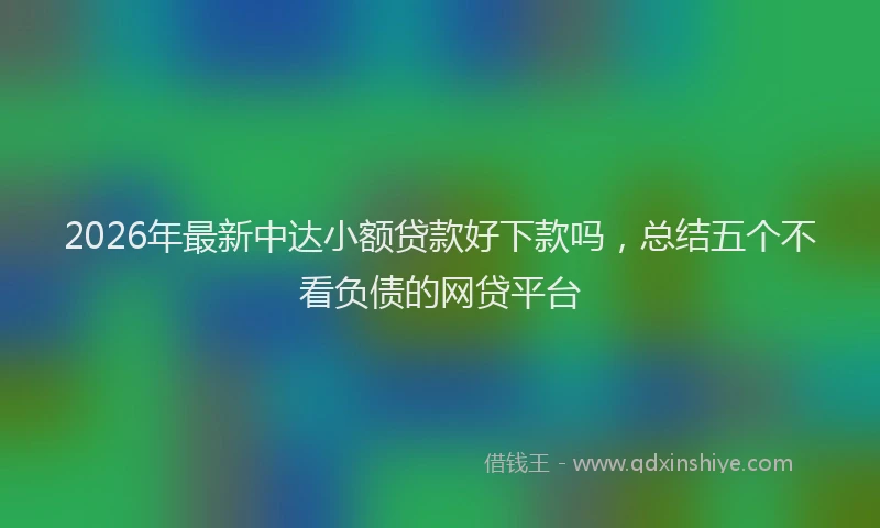 2026年最新中达小额贷款好下款吗,总结五个不看负债的网贷平台