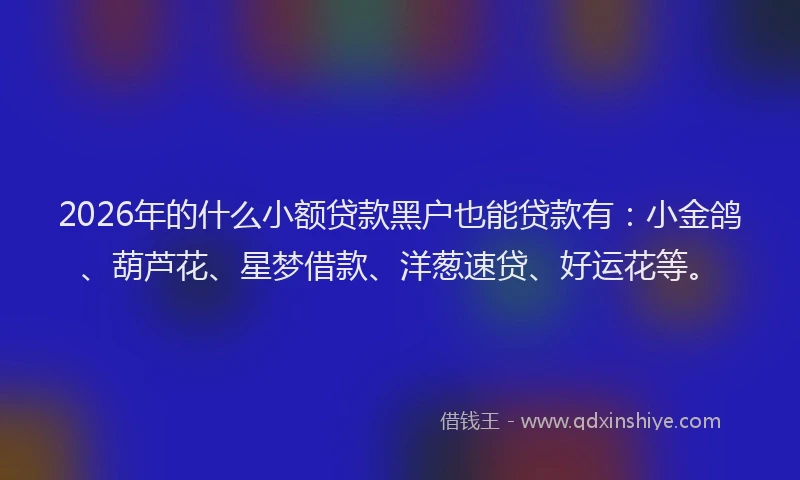 2026年的什么小额贷款黑户也能贷款有:小金鸽、葫芦花、星梦借款、洋葱速贷、好运花等。