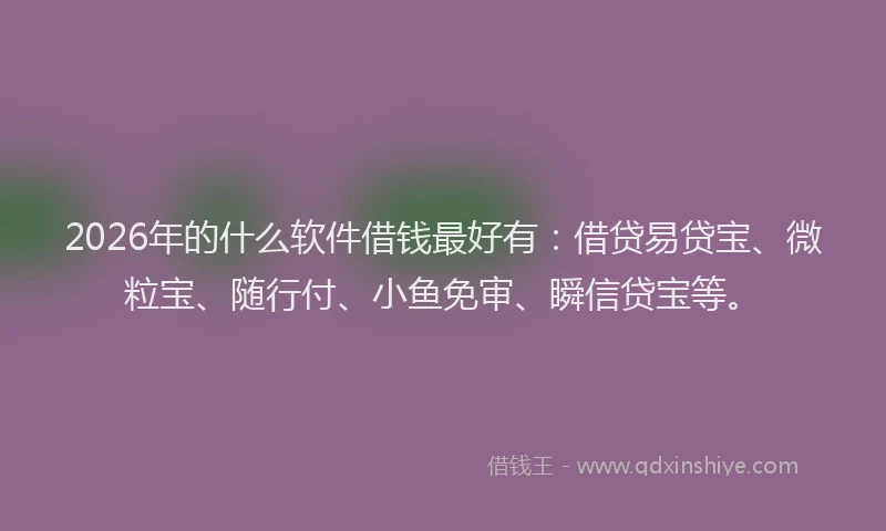 2026年的什么软件借钱最好有:借贷易贷宝、微粒宝、随行付、小鱼免审、瞬信贷宝等。