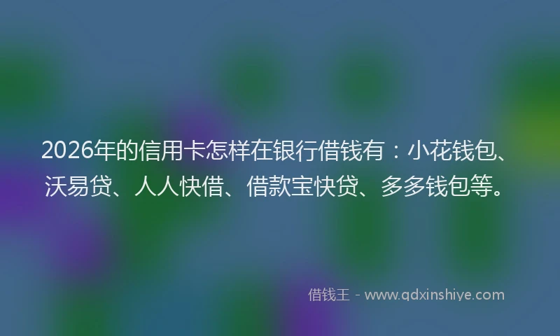 2026年的信用卡怎样在银行借钱有:小花钱包、沃易贷、人人快借、借款宝快贷、多多钱包等。
