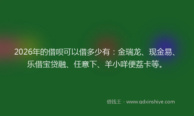 2026年的借呗可以借多少有：金瑞龙、现金易、乐借宝贷融、任意下、羊小咩便荔卡等。