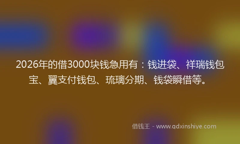 2026年的借3000块钱急用有：钱进袋、祥瑞钱包宝、翼支付钱包、琉璃分期、钱袋瞬借等。
