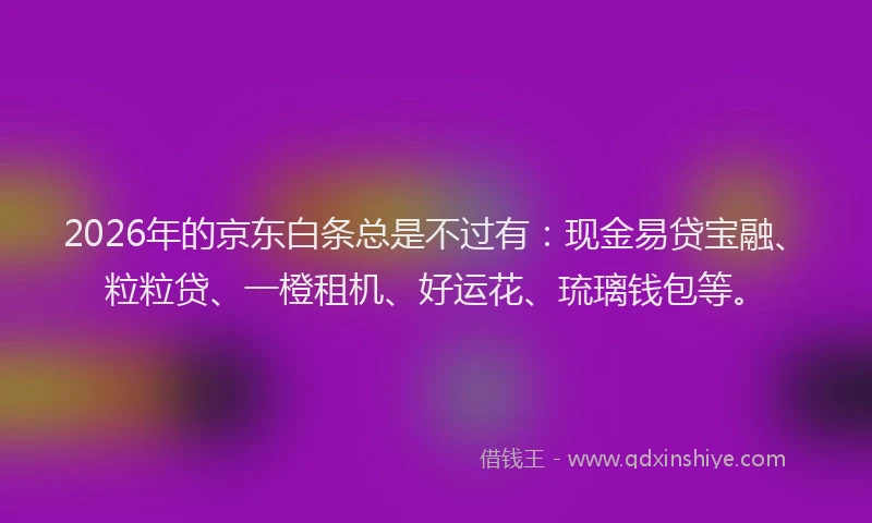 2026年的京东白条总是不过有：现金易贷宝融、粒粒贷、一橙租机、好运花、琉璃钱包等。