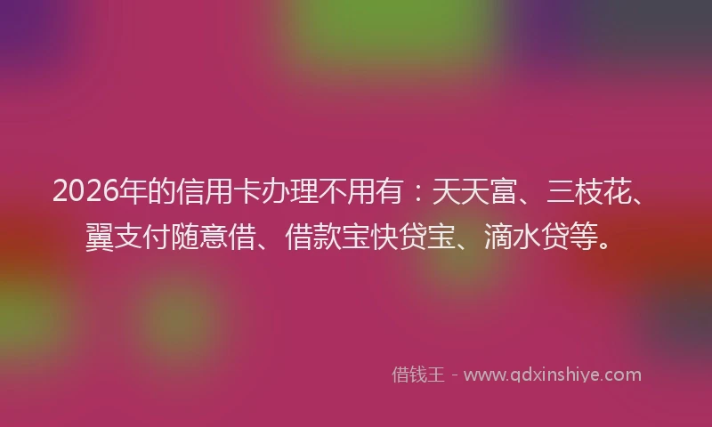 2026年的信用卡办理不用有:天天富、三枝花、翼支付随意借、借款宝快贷宝、滴水贷等。