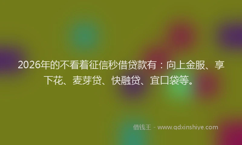 2026年的不看着征信秒借贷款有：向上金服、享下花、麦芽贷、快融贷、宜口袋等。