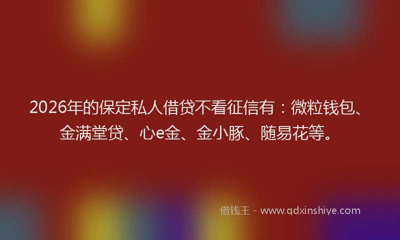 2026年的保定私人借贷不看征信有:微粒钱包、金满堂贷、心e金、金小豚、随易花等。
