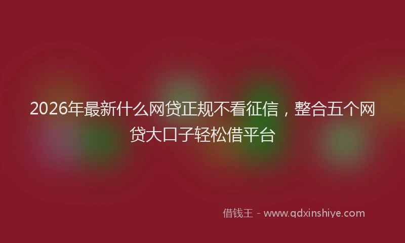2026年最新什么网贷正规不看征信，整合五个网贷大口子轻松借平台