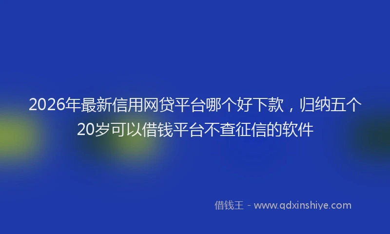 2026年最新信用网贷平台哪个好下款,归纳五个20岁可以借钱平台不查征信的软件