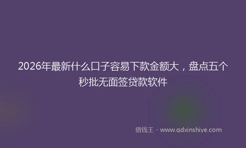 2026年最新什么口子容易下款金额大，盘点五个秒批无面签贷款软件