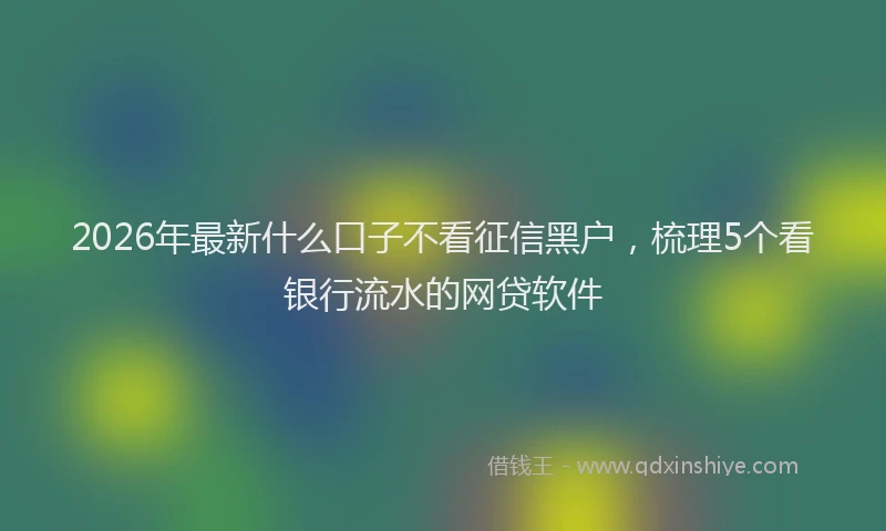 2026年最新什么口子不看征信黑户，梳理5个看银行流水的网贷软件