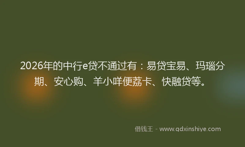 2026年的中行e贷不通过有:易贷宝易、玛瑙分期、安心购、羊小咩便荔卡、快融贷等。