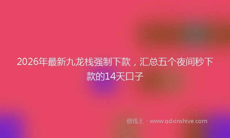 2026年最新九龙栈强制下款，汇总五个夜间秒下款的14天口子