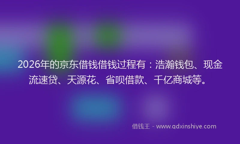 2026年的京东借钱借钱过程有:浩瀚钱包、现金流速贷、天源花、省呗借款、千亿商城等。