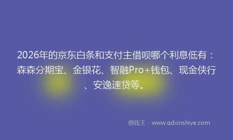 2026年的京东白条和支付主借呗哪个利息低有:森森分期宝、金银花、智融Pro+钱包、现金侠行、安逸速贷等。