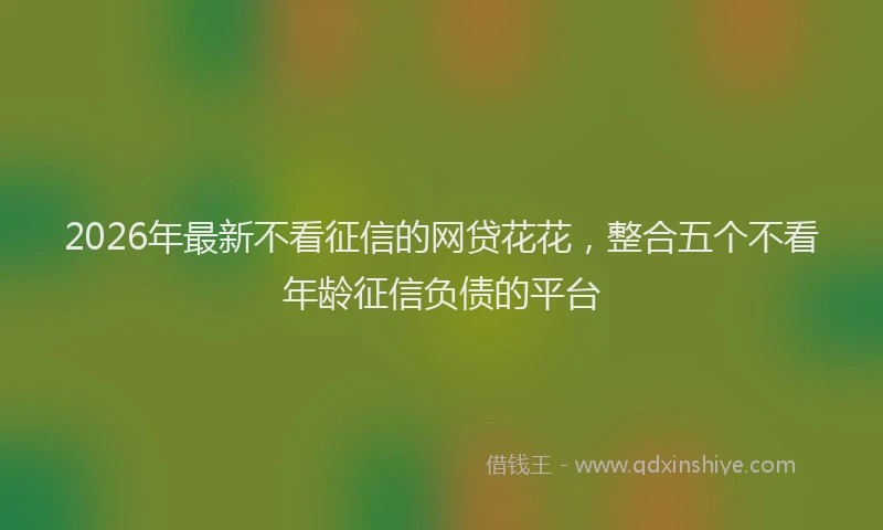 2026年最新不看征信的网贷花花，整合五个不看年龄征信负债的平台