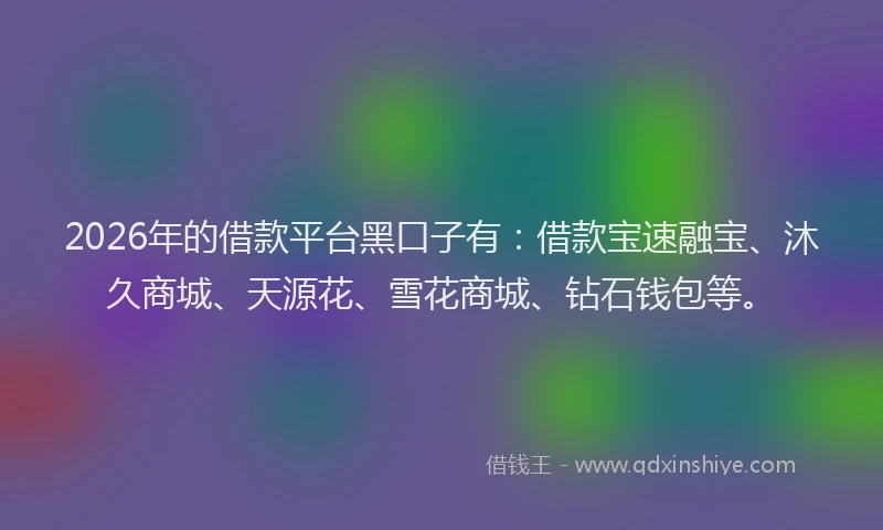 2026年的借款平台黑口子有：借款宝速融宝、沐久商城、天源花、雪花商城、钻石钱包等。