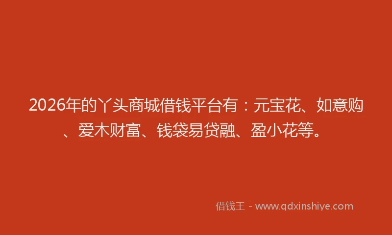 2026年的丫头商城借钱平台有：元宝花、如意购、爱木财富、钱袋易贷融、盈小花等。