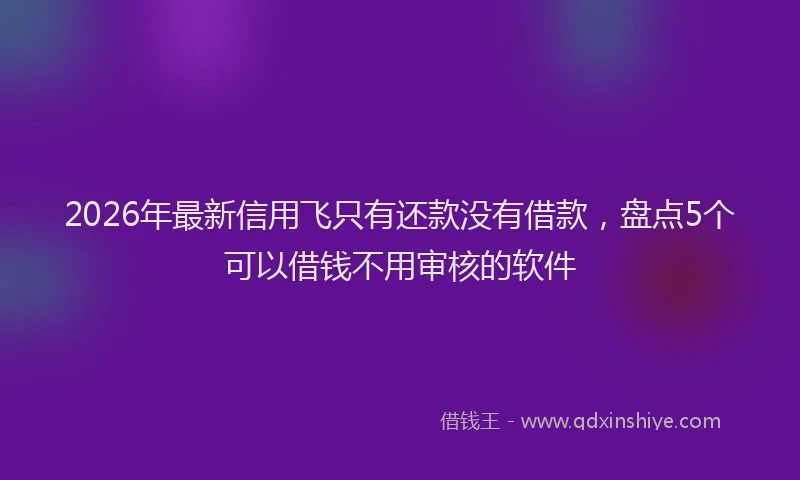 2026年最新信用飞只有还款没有借款，盘点5个可以借钱不用审核的软件