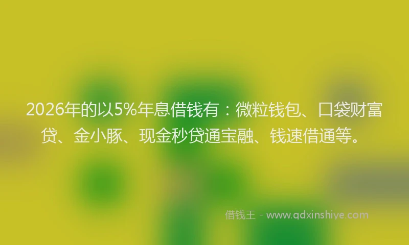 2026年的以5%年息借钱有：微粒钱包、口袋财富贷、金小豚、现金秒贷通宝融、钱速借通等。