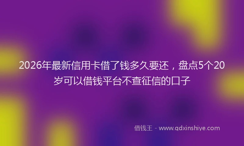 2026年最新信用卡借了钱多久要还,盘点5个20岁可以借钱平台不查征信的口子