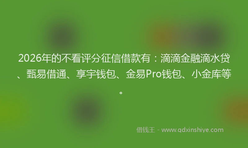 2026年的不看评分征信借款有：滴滴金融滴水贷、甄易借通、享宇钱包、金易Pro钱包、小金库等。