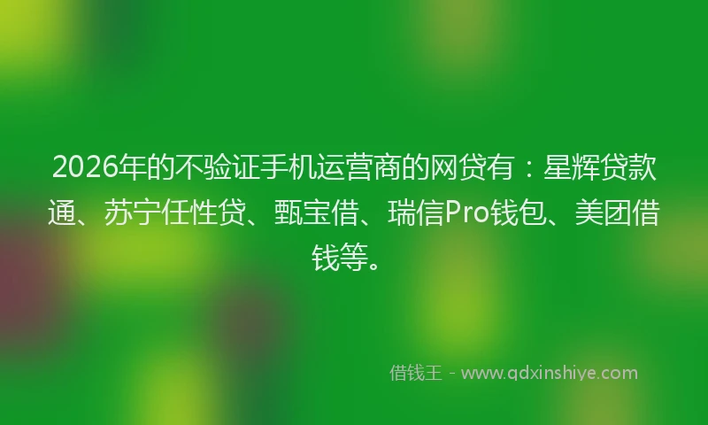 2026年的不验证手机运营商的网贷有：星辉贷款通、苏宁任性贷、甄宝借、瑞信Pro钱包、美团借钱等。