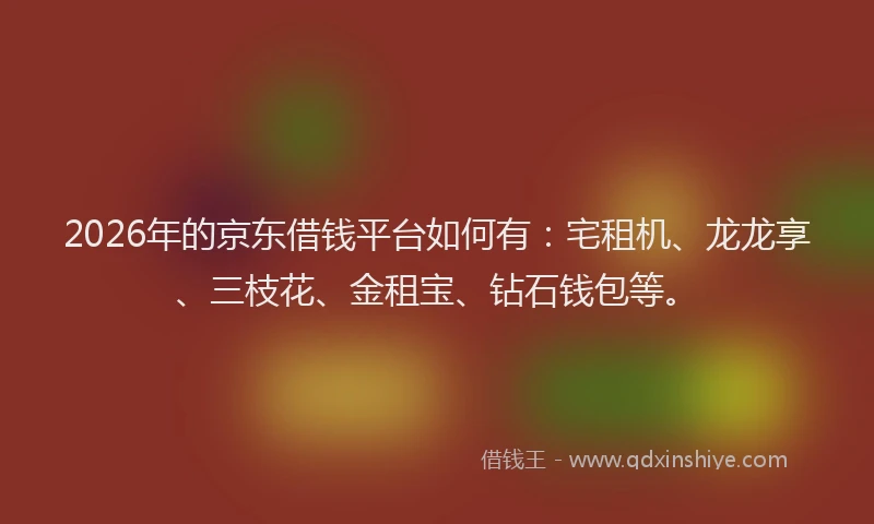 2026年的京东借钱平台如何有：宅租机、龙龙享、三枝花、金租宝、钻石钱包等。