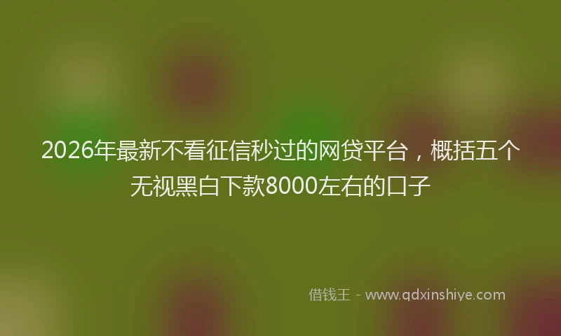 2026年最新不看征信秒过的网贷平台，概括五个无视黑白下款8000左右的口子