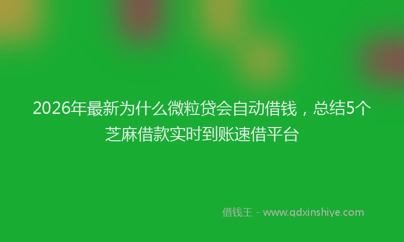 2026年最新为什么微粒贷会自动借钱，总结5个芝麻借款实时到账速借平台