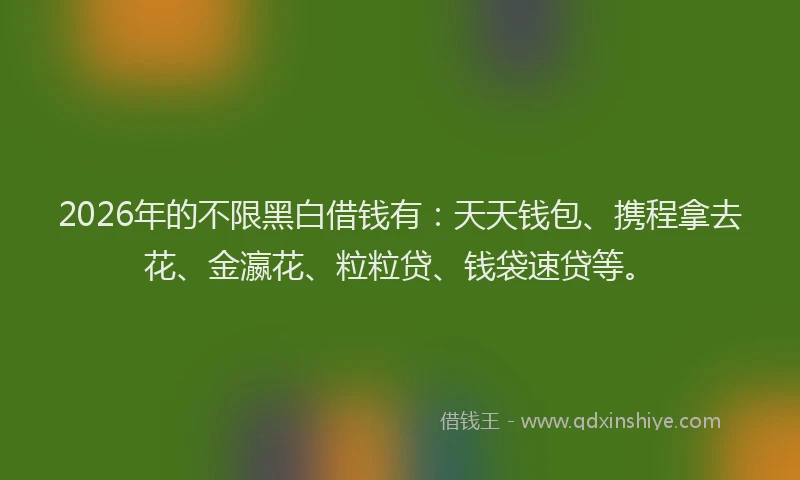 2026年的不限黑白借钱有：天天钱包、携程拿去花、金瀛花、粒粒贷、钱袋速贷等。