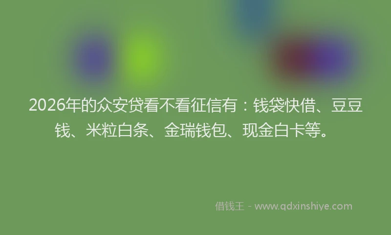 2026年的众安贷看不看征信有:钱袋快借、豆豆钱、米粒白条、金瑞钱包、现金白卡等。