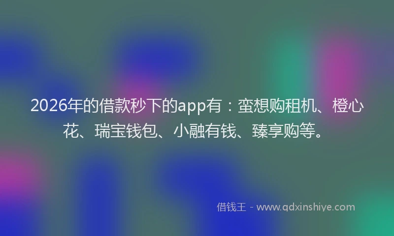 2026年的借款秒下的app有：蛮想购租机、橙心花、瑞宝钱包、小融有钱、臻享购等。