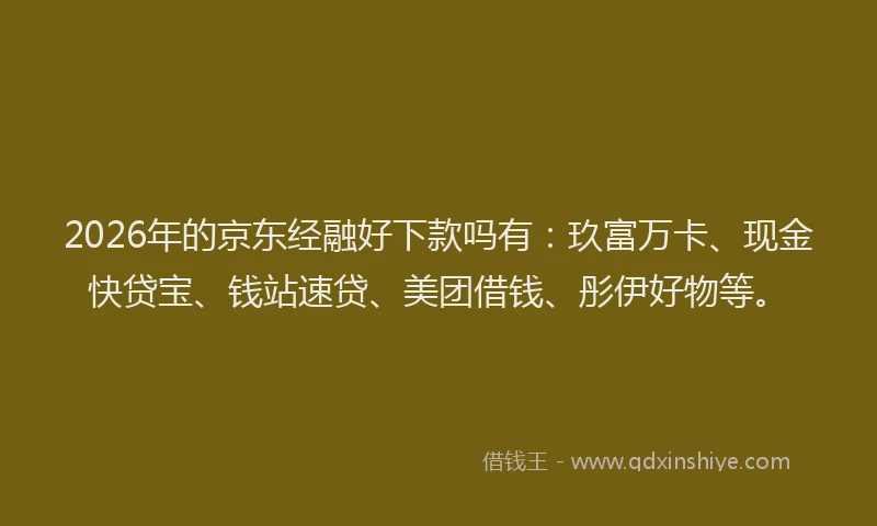 2026年的京东经融好下款吗有:玖富万卡、现金快贷宝、钱站速贷、美团借钱、彤伊好物等。