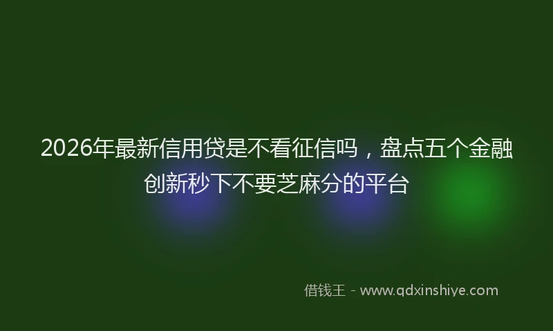 2026年最新信用贷是不看征信吗，盘点五个金融创新秒下不要芝麻分的平台