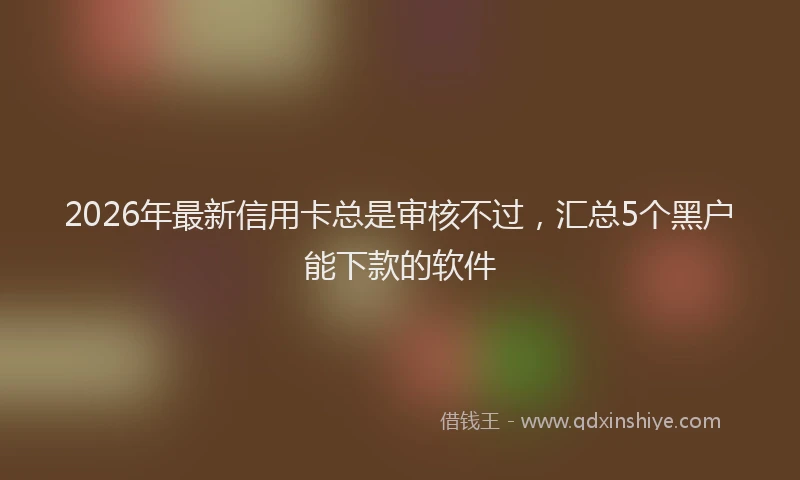 2026年最新信用卡总是审核不过,汇总5个黑户能下款的软件