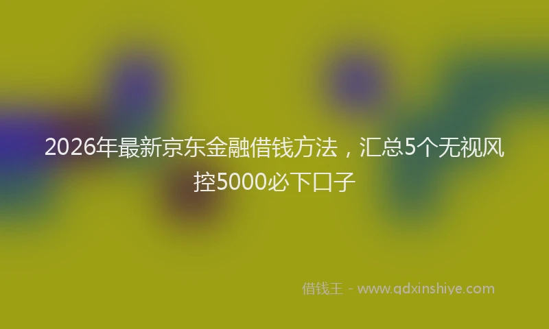 2026年最新京东金融借钱方法，汇总5个无视风控5000必下口子