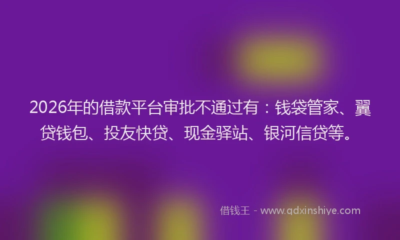 2026年的借款平台审批不通过有：钱袋管家、翼贷钱包、投友快贷、现金驿站、银河信贷等。