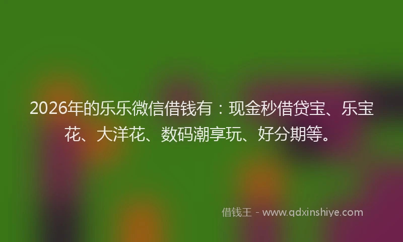2026年的乐乐微信借钱有：现金秒借贷宝、乐宝花、大洋花、数码潮享玩、好分期等。