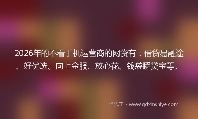 2026年的不看手机运营商的网贷有：借贷易融途、好优选、向上金服、放心花、钱袋瞬贷宝等。