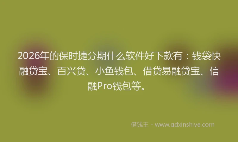 2026年的保时捷分期什么软件好下款有：钱袋快融贷宝、百兴贷、小鱼钱包、借贷易融贷宝、信融Pro钱包等。
