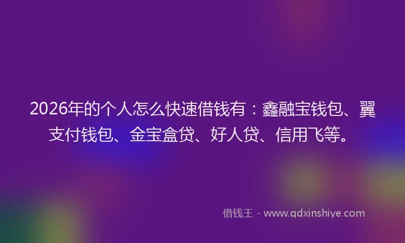 2026年的个人怎么快速借钱有：鑫融宝钱包、翼支付钱包、金宝盒贷、好人贷、信用飞等。