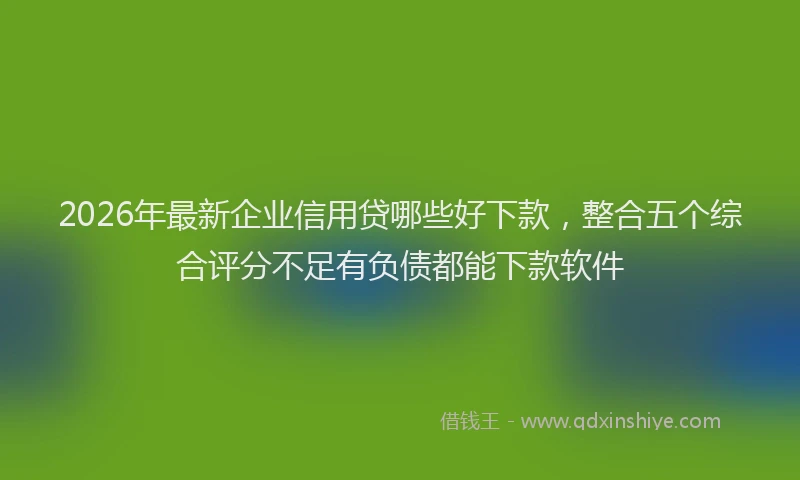 2026年最新企业信用贷哪些好下款，整合五个综合评分不足有负债都能下款软件