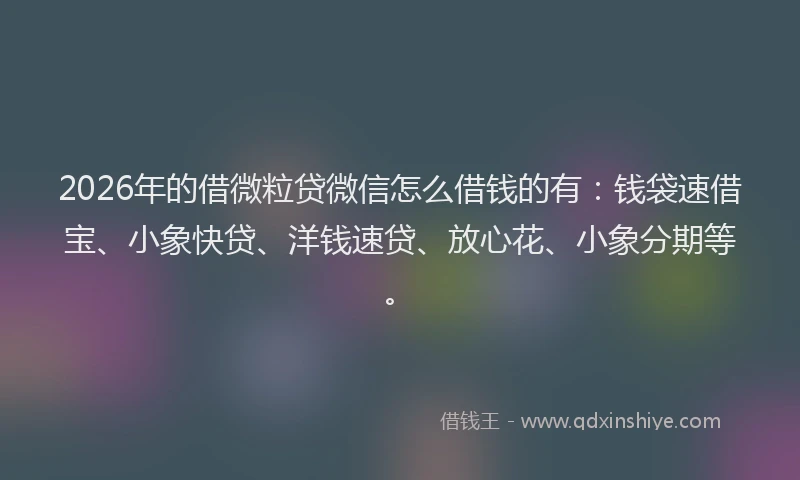 2026年的借微粒贷微信怎么借钱的有：钱袋速借宝、小象快贷、洋钱速贷、放心花、小象分期等。